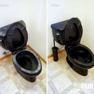 Bellevue Home Cleaning Black Toilet Before and After