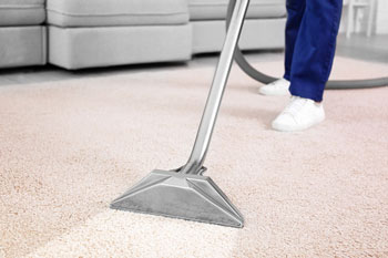 Person Cleaning Carpet
