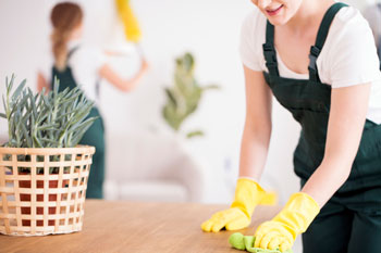 Two Cleaners Work Together to Clean Home