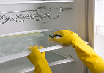 Gloved Hands Cleaning Refrigerator