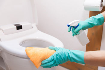 Gloved Cleaner Cleaning Toilet