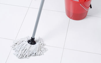 Mop and Red Bucket on Tile