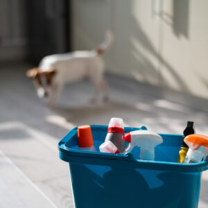 Our Top 10 Cleaning Tips to Get Your Home Sparkling!