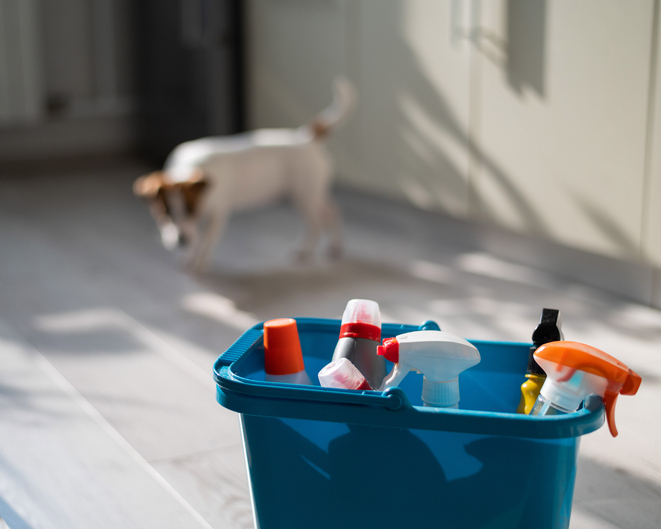 Our Top 10 Cleaning Tips to Get Your Home Sparkling!