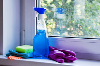 Cleaning Supplies in Window