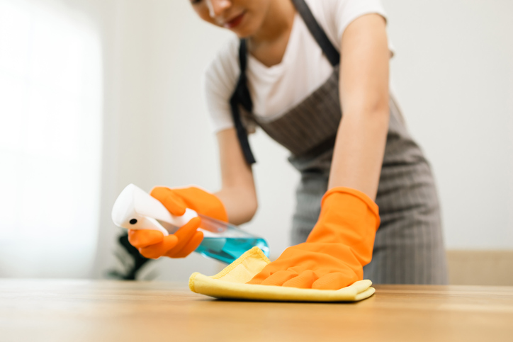 What Services Can a Cleaning Lady Provide?