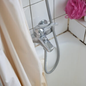 Keeping Your Bathroom Mold-Free with Proper Bathroom Cleaning