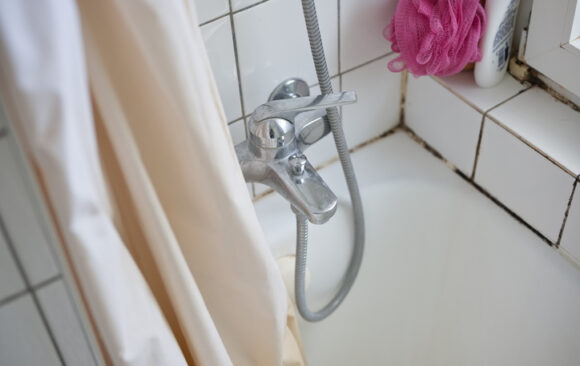 Keeping Your Bathroom Mold-Free with Proper Bathroom Cleaning